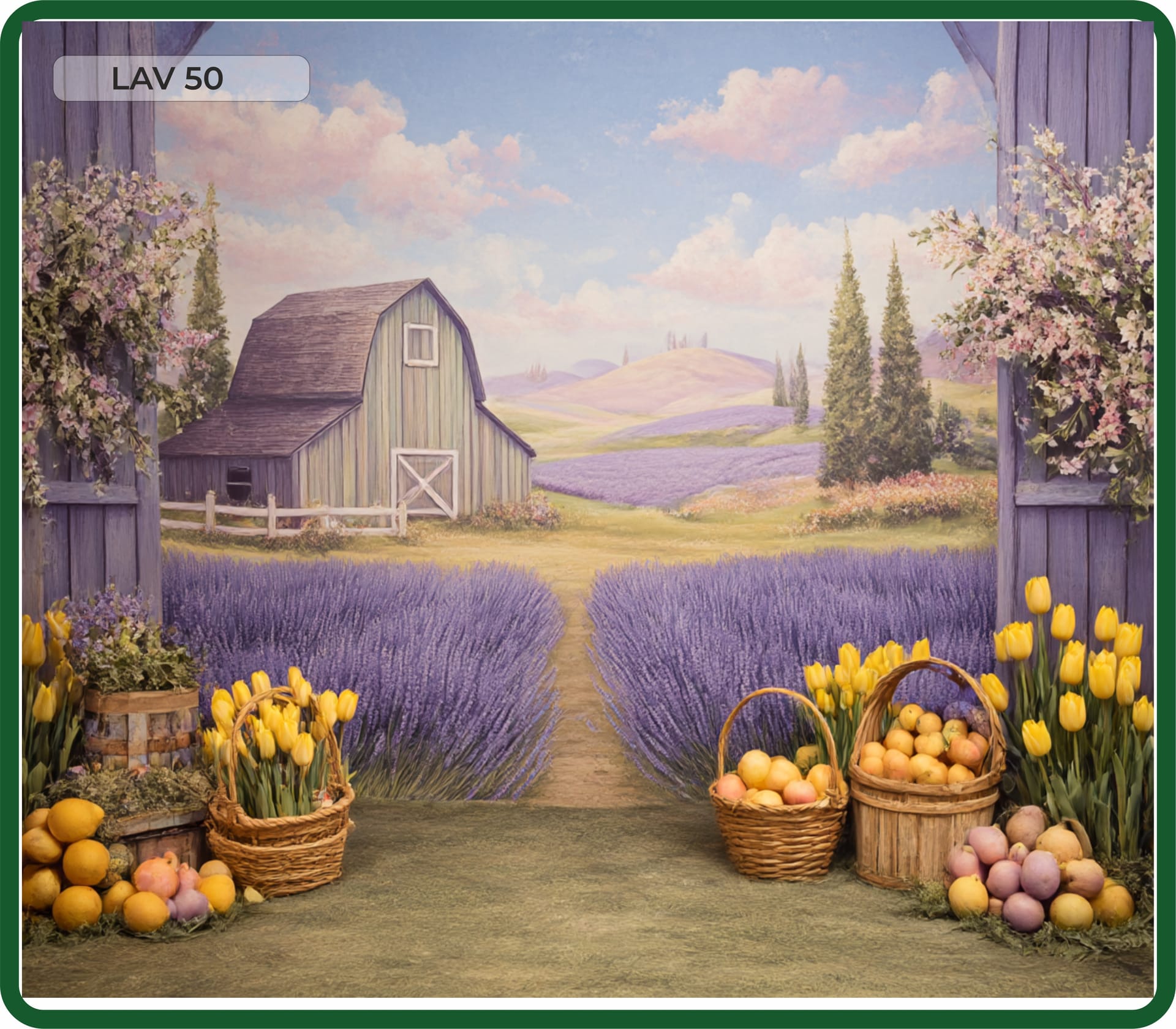 Fundal Lavandă 240x200x100, NOU